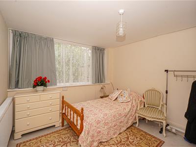 Picture 21